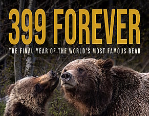 '399 FOREVER' Trailer &ndash; Grizzly 399&rsquo;s Final Year Explored In New Wildlife Documentary