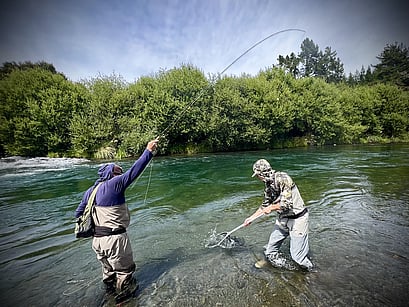 North Island Trout Fly Fishing Guide