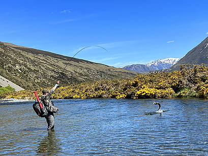 New Zealand Fly Fishing Guide Hamilton Waikato
