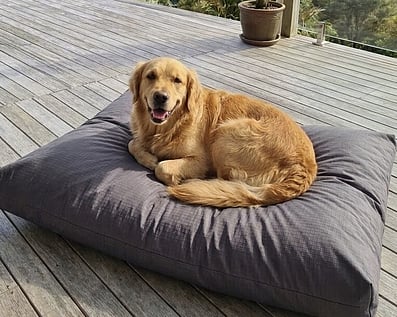 Outdoor pet beds
