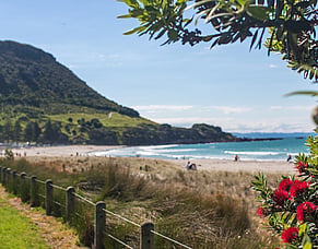 Western Bay of Plenty Response Fund opens following devastating weather event