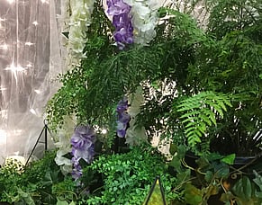 Western Heights High School Ball 2025 - Tangled Theme