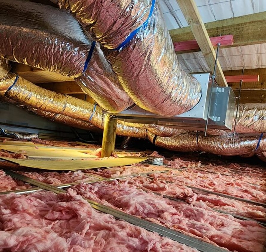 Healthy Homes & Ventilation