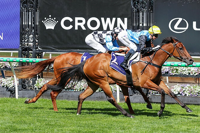 Satono Glow wins the Gr.3 Cap D'Antibes Stakes (1100m) at Flemington on Saturday. - Photo: ultimateracingphotos.com.au