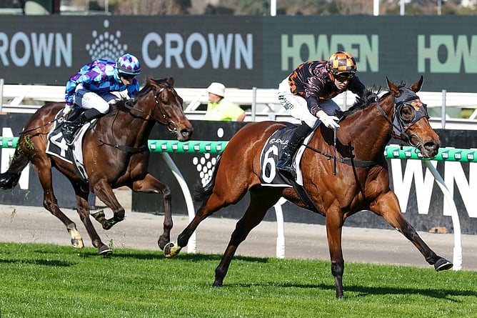 Shockletz powers to victory in the Gr.3 Archer Stakes (2500m) to book her spot in the Gr.1 Melbourne Cup (3200m). - Photo: ultimateracingphotos.com.au