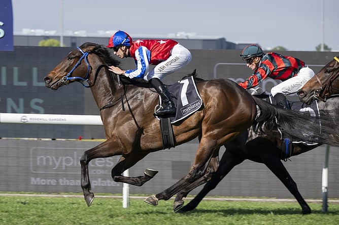 Persian Wonder winning the Gr.3 Ming Dynasty Quality (1400m) at Rosehill. - Photo: bradleyphotos.com.au