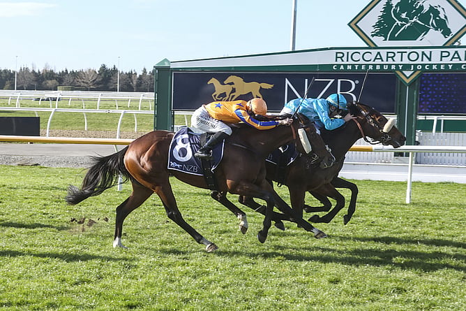 Sweetest Thing winning the Listed Canterbury Belle Stakes (1200m) at Riccarton on Saturday. - Photo: Race Images South