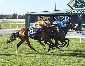 Wentwood Grange fillies shining this spring