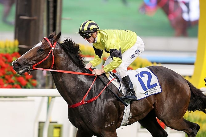 Zac Purton pilots Nyx Gluck to victory at Sha Tin. - Photo: HKJC