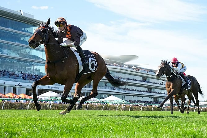 Satono Glow - (Credit: Racing Photos)