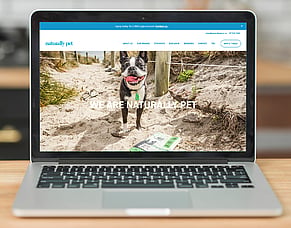 Naturally Pet &mdash; Website &amp; print design