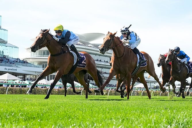 Satono Glow - (Credit: Racing Photos)