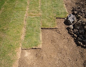 Planning a Landscaping Project in the Wellington Region: Your Local Guide