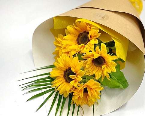 The bright yellow petals lift moods and represent pure optimism