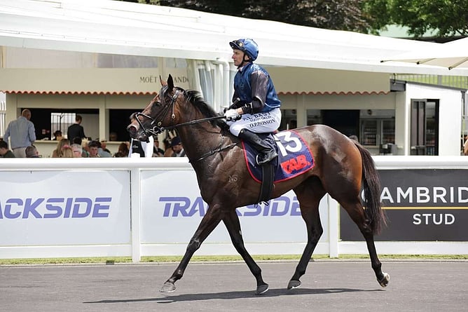 Drops Of God continued her build-up toward a return with a strong trial at Ellerslie. - Photo: Kenton Wright Race Images