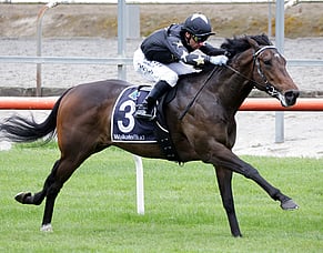 Coniston marches on towards Guineas
