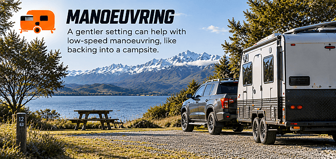 Match Your Setting to New Zealand Conditions