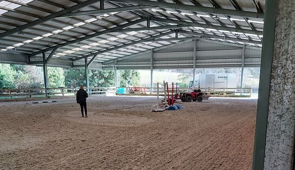 Arena Grooming: The Expensive Mistakes You Want to Avoid