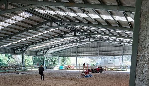 Arena Grooming: The Expensive Mistakes You Want to Avoid