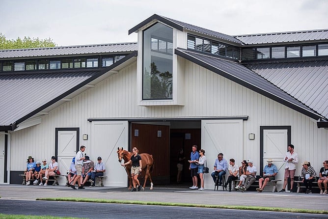 Cambridge Stud  - Photo: supplied