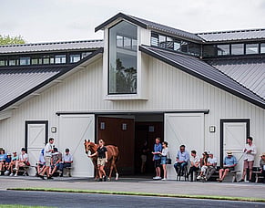 Cambridge Stud Backing Karaka 2027 100%