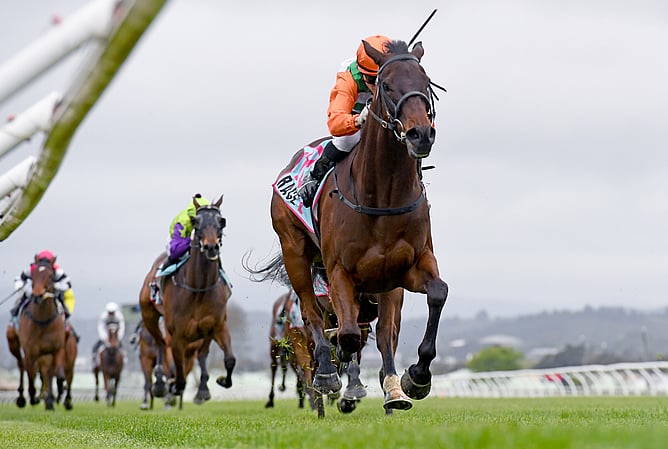 Knock Off winning the Gr.3 Hunterville Vet Club Metric Mile (1600m) at Trentham on Saturday. - Photo: Peter Rubery (Race Images)
