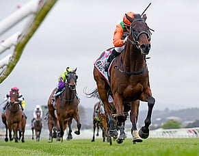 Wanganui gelding Knocks Off stakes win at Trentham