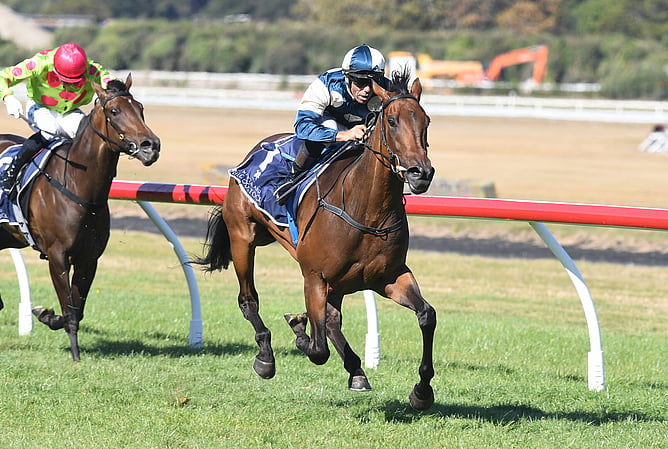 Group One winner Leica Lucy has been retired. -  Photo: Peter Rubery (Race Images)