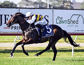 Perfumist makes her mark in NZB Tibbie Stakes