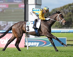 Star mare Seachange still making her mark