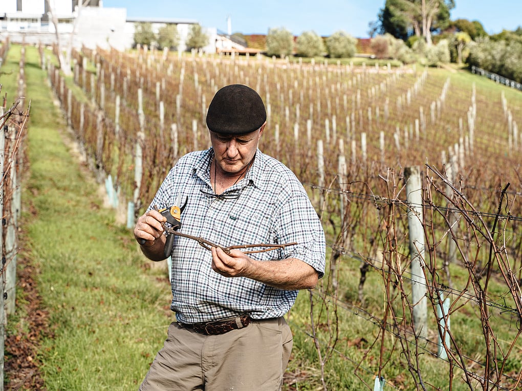 Limited Vintage Wine