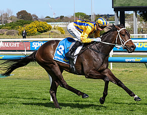 Blind Raise makes statement in Caulfield Guineas Prelude