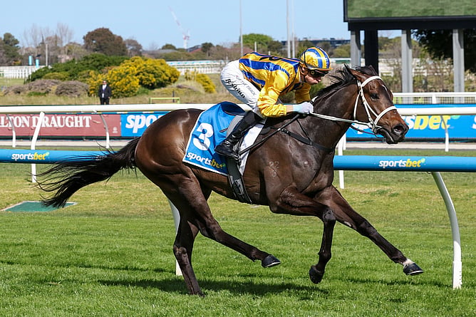 Image: Blind Raise - (Credit: Racing Photos)