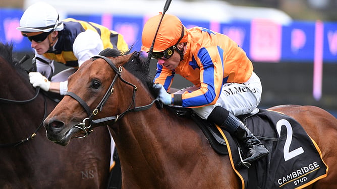 Exciting three-year-old System Of Play. - Photo: Kenton Wright (Race Images)