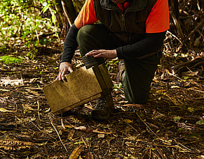 In the media: Government announces nature credit endorsement criteria