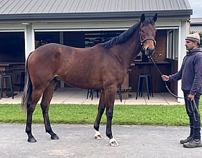 Meet Gideon &ndash; Our Latest Family &amp; Friends Racing Project