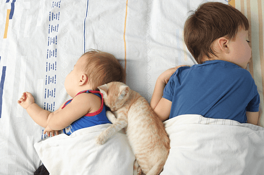 Why Sleep Matters at Every Age: A Gentle Guide for the Whole Whānau
