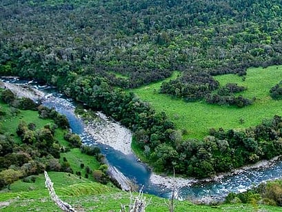 Auckland Fly Fishing