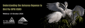 Event: Understanding the Aotearoa Respone to Bird Flu (HPAI H5N1)