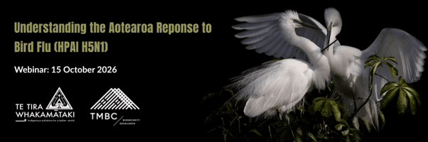 Event: Understanding the Aotearoa Respone to Bird Flu (HPAI H5N1)