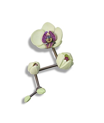 Janet Barber - Moth Orchid Brooch - Winner of the Goldsmiths´ Company Award 2025