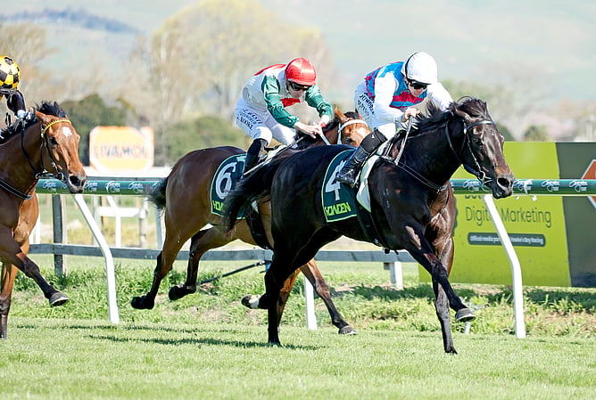 Hawea winning the Gr.3 HBPB Thoroughbred Breeders Gold Trail Stakes (1200m). - Photo: Peter Rubery (Race Images)