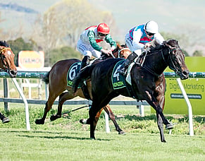 Hawea downs quality field in Gold Trail Stakes