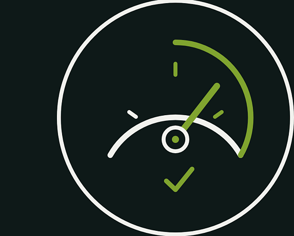 Geoworx ltd: speedo icon