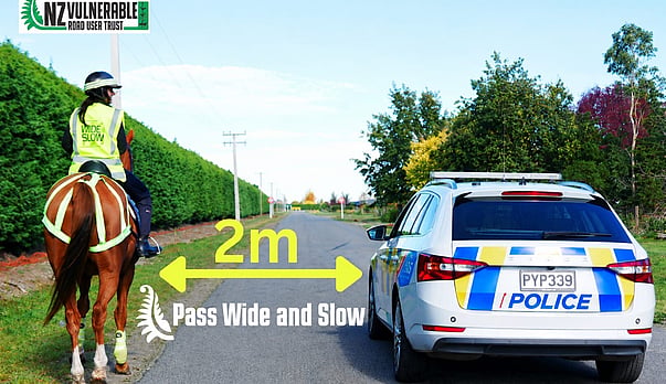 Trust Calls For Review of Government's 1.5m Passing Distance Rule for Horses