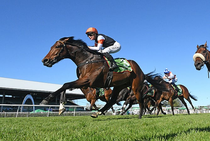 Old Fashioned winning the Gr.2 Hawke’s Bay Guineas (1400m). - Photo: Peter Rubery (Race Images)