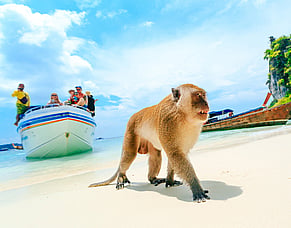 Why Book Your Next Cox &amp; Kings Tour with Conexo Travel?
