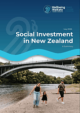 Social Investment- Waikato Style