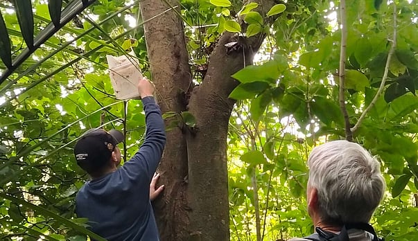 Safe Use of Rat &amp; Possum Bait