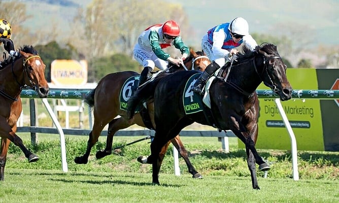 Image: Hawea - Credit Race Images